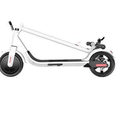 China Constant speed unisex cruising adult electric scooters, 350W e kick scooter for sale for sale