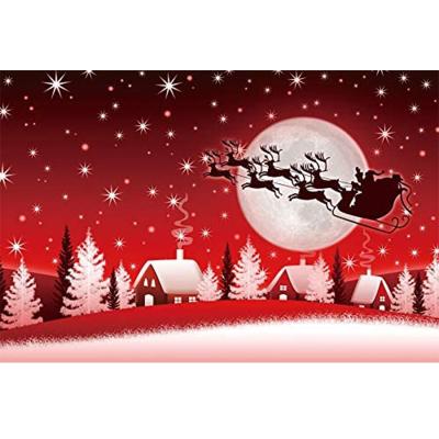 China Birthday Party Christmas Elk Snow Scene Moon Stars House Photography Background Wall Cloth Vinyl Wood Material 7x5ft for sale