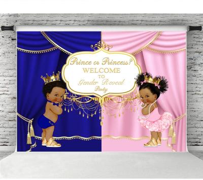 China Royal birthday party prince or princess gender reveal background boy or girl gender reveal photography backdrop party decoration pink or blue for sale