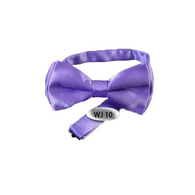 China Fashion Customized Tie Stain Stripe Logo Pattern Bow Tie Factory Directly Ready to Sell and Customized Design for sale