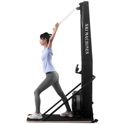 China Morden New Fitness Gym Equipment Fitness Equipment Factory Commercial Skiing Machine for sale