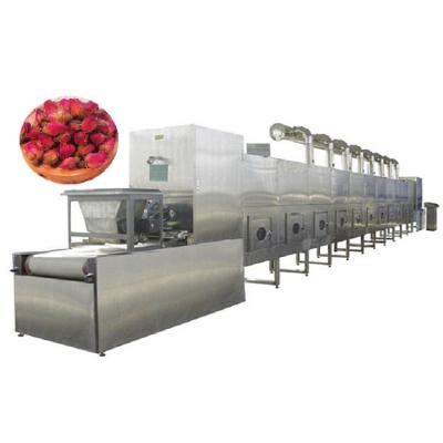 China Medicine Processing Belt Type Microwave Vacuum Dryer For Medicine, Fruit, Vegetable And Wood for sale