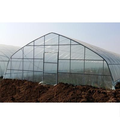 China Oneone Vegetable Classic Commercial Flowers Fruits Plastic Sheet Greenhouse For Sale for sale