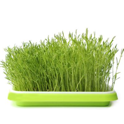 China Grows Microgreen Hydroponic Plant Seedling Growing Trays ONEONE Forestry Trays for sale