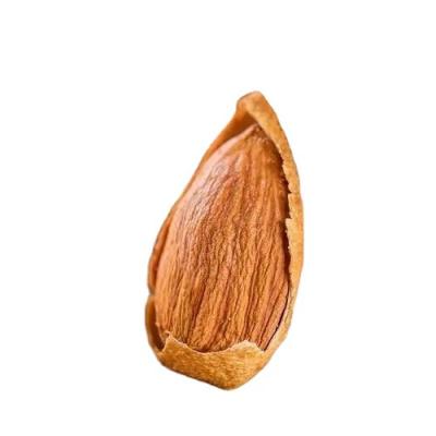 China Available Ready Made Almond Nuts Sweet Almonds Raw Nuts For Sale Best Price Cheap Dried Sweet Almonds for sale