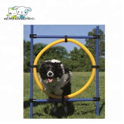 China Viable Dog Agility Hoop Salto Aro Agility Para Perros for sale