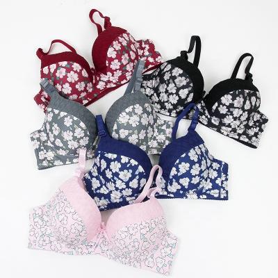 China Cheap Breathable Supplier Comfortable T-shirt D Cup Satin Adjuster Plus Size Woman Underwire Flower Bras for sale