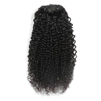 China Kinky Curly Curly Hair Clip In Hair Extensions Wig for sale