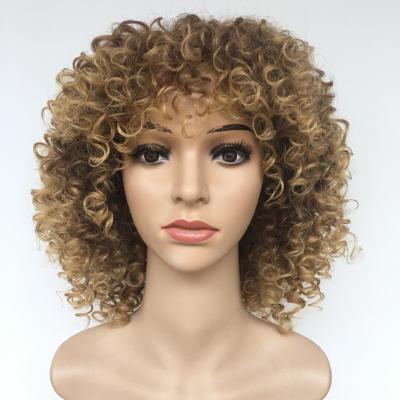 China Afro Wave Afro Curly OEM Human Hair Frontal Wig For Black Women for sale