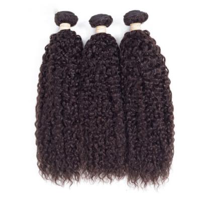 China Popular Curly Factory Price Afro Curly Wigs Style Daily Life Shiny Curly Curly Wig Ready To Ship Hair Extensions Wigs for sale