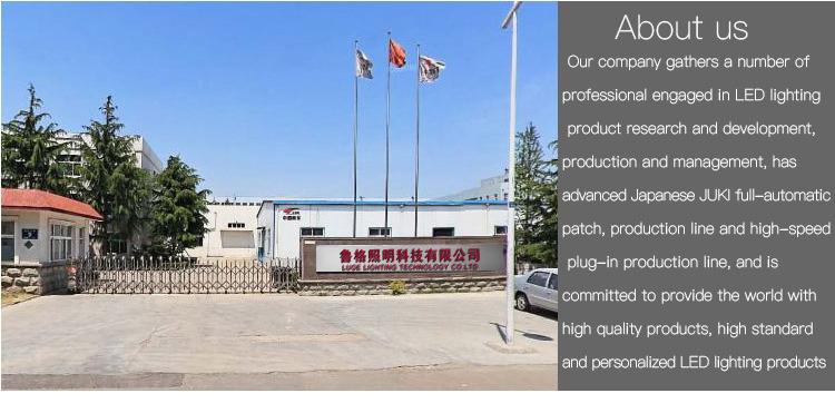 Verified China supplier - Luge Lighting Technology Co., Ltd.