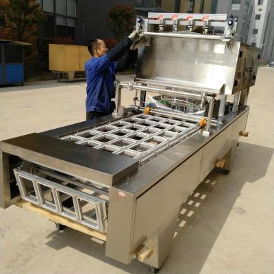 China Beverage OEM ODM Aluminum Foil Food Container Automatic Linear Seal Machine for sale