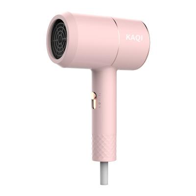 China 50K Plastic Injection Molding Household Hair Dryer Small Portable for sale