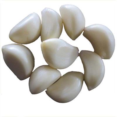 China China Hot Sale Fresh Peeled Garlic Wholesale Suppliers for sale