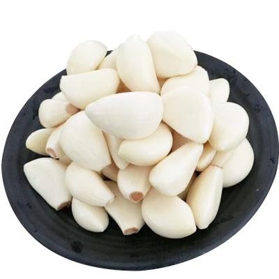 China Wholesale price fresh garlic high quality fresh garlic for sale