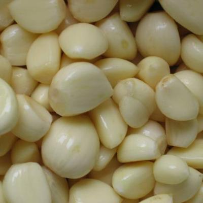 China CHINA FRESH VACUUM PEELED GARLIC CLOVES PEELED GARLIC ON SALE for sale