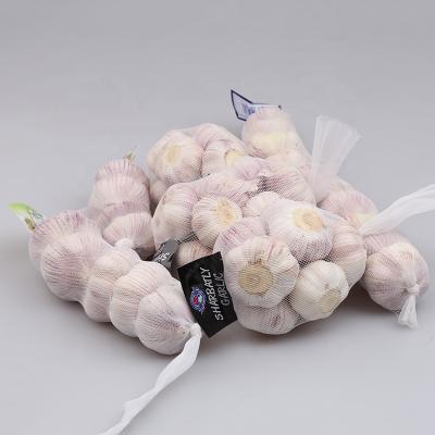 China Low Price Chinese Fresh Garlic White Garlic Normal White Garlic for sale