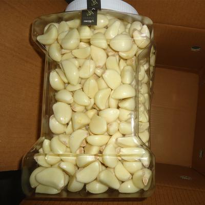 China New Fresh Culture Chinese Wholesale Garlic Peeled Bulk Garlic for sale