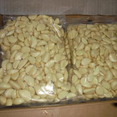 China China Fresh White Fresh Garlic Price 1KG Peeled Vacuum Bag for sale