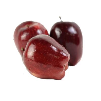 China Fresh fruit product type of pome fruit fresh superior red apples of huaniu for sale