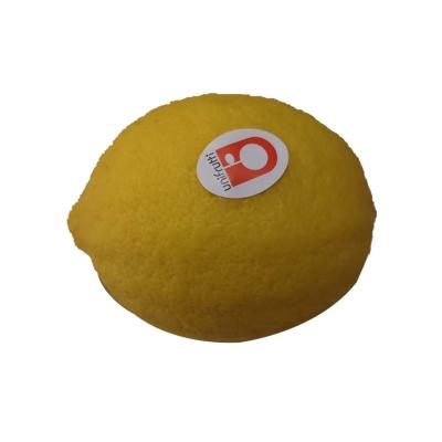 China Vitanmin Wholesale Price High Quality Fresh Citrus Fresh Lemon For Sale for sale