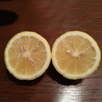 China Vitanmin Best Wholesale Fresh Fruit Fresh Citrus Lemon Price for sale