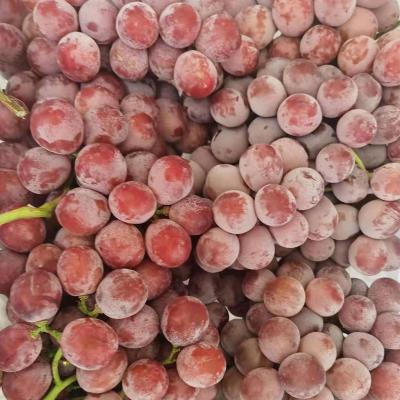 China Fresh Grape Supplier Fresh Chinese Fresh Grape Season Sweet Fresh Grape Price for sale