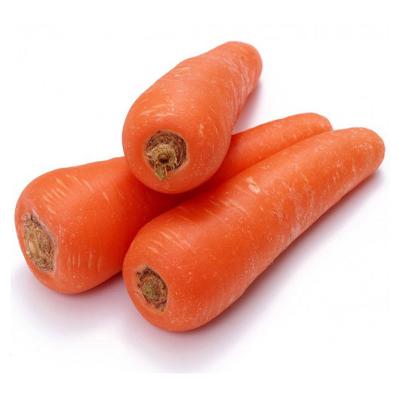 China China Fresh Natural Fresh Carrots For Sale for sale