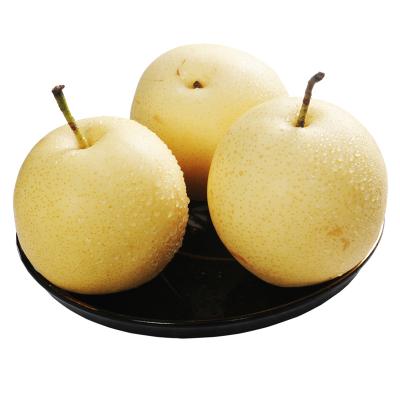 China Fresh Good Quality Sweet Juicy Chinese Fresh Crown Pear for sale