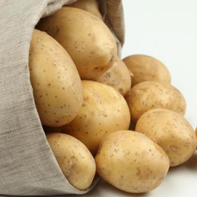 China Wholesale Fresh Bulk Holland Potato Seeds for sale