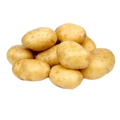 China Fresh Potato Wholesale Bulk Specification for sale