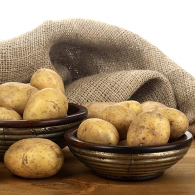 China New fresh fresh potato seeds for wholesale for sale