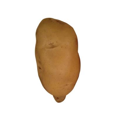 China Fresh Cheap Price Round Shape Healthy Organic Fresh Potato for sale