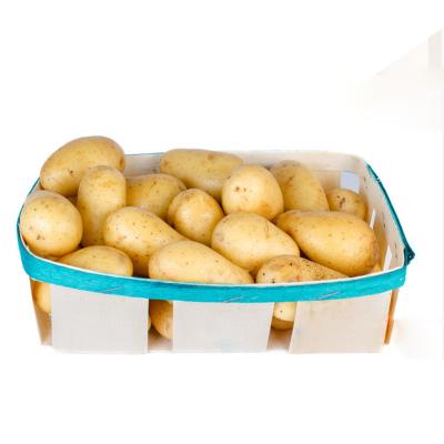 China New Crop Mesh Bag Package Fresh Yellow Flesh Potato Wholesale Fresh Potato for sale