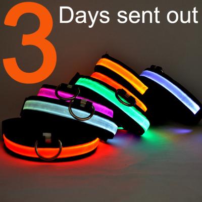 China Viable Leash Cat Nylon Led Collar Instant Light Waterproof Pet Supplies Dog Perros Perro Para for sale