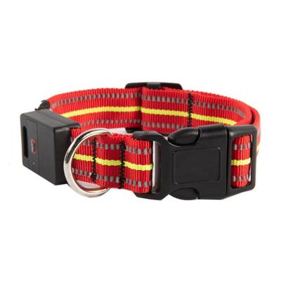 China Viable Magnetic Waterproof USB Rechargeable Led Flashing Dog Collar for sale