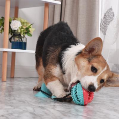 China Viable New Designs TPR Soft Chew Suction Dog Cat Toy Soft Animal Para Mascotas for sale