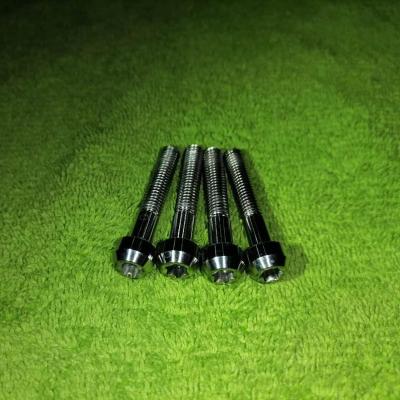 China M6x35 Round Fully Forged Ti6Al4V Gr.5 T30 TORX Round Head Titanium Screw In Stock Ready To Ship for sale