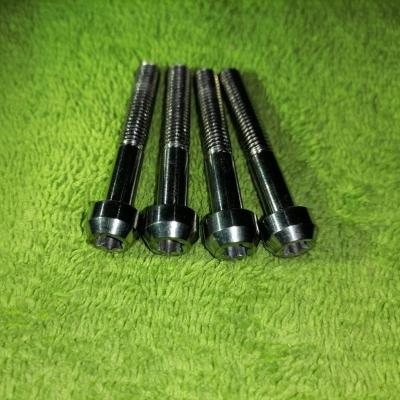 China M6x40 Round Fully Forged Ti6Al4V Gr.5 T30 TORX Titanium Round Head Bolt In Stock Ready To Ship for sale