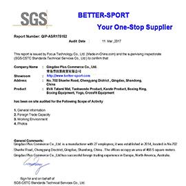 Verified China supplier - Qingdao Plus Commerce Co., Ltd.