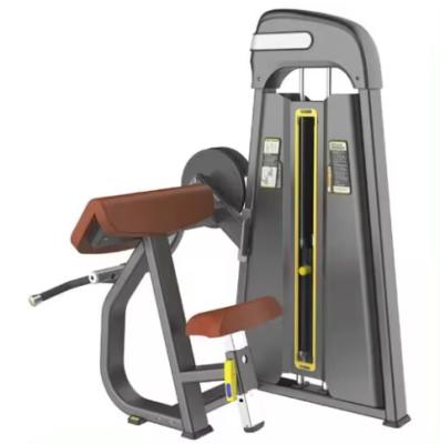 China Integrated Pin Loaded Strength Machine Thigh Stretch Trainer Leg Extension for sale