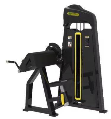 China Commercial Pin Loaded Strength Machine with Compact Model Firm Grip Fixed Handle for sale