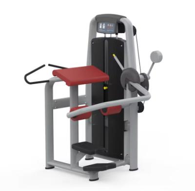 China 2024 New Commercial Fitness Equipment Professional Gym Equipment Leg Machine Gym Equipment Machine for sale