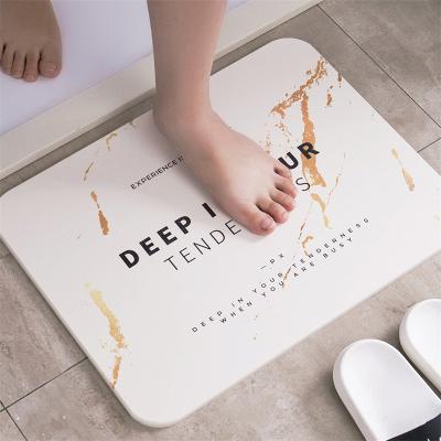 China Custom Size Sustainable Diatomaceous Earth Bath Mat Kids Eco - Friendly Non Slip Diatomite Bath Mat for sale