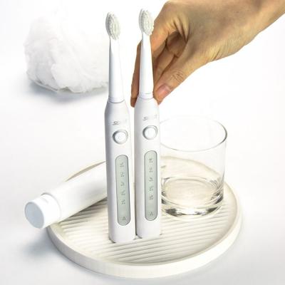 China Bathroom Organizer Dish Sustainable Absorbent Natural Diatomite Customized Toothbrush Holder for sale