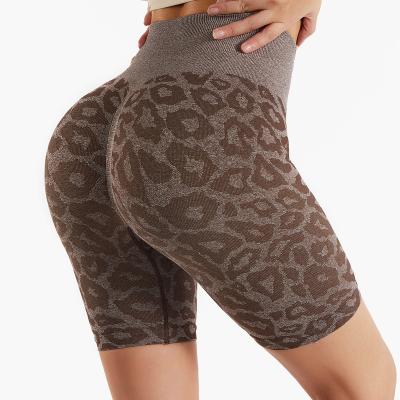 China 2022 Summer Breathable Leopard Seamless Waist Biker Top Shorts Women Yoga Shorts Gaiters Gym Sportswear Leopard Camouflage Pants for sale