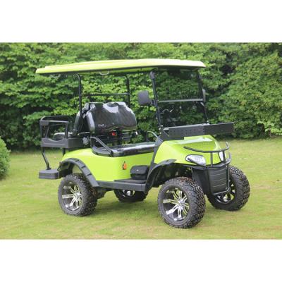 China Golf 2022 High Quality Electric Cart Green Off Road Vehicle 14