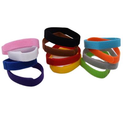 China Viable Multicolor Kitten And Puppy Collars Dog and Kitten Identification Collar Pet Nylon for sale