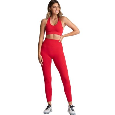 China Antibacterial Multiple Styles Sport Bra+ Set Women High Waist Active Workout Leggings Seamless Wear Yoga Set for sale