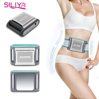 China New Hot Selling Body Design Cooling Fat Slim Your Body for sale